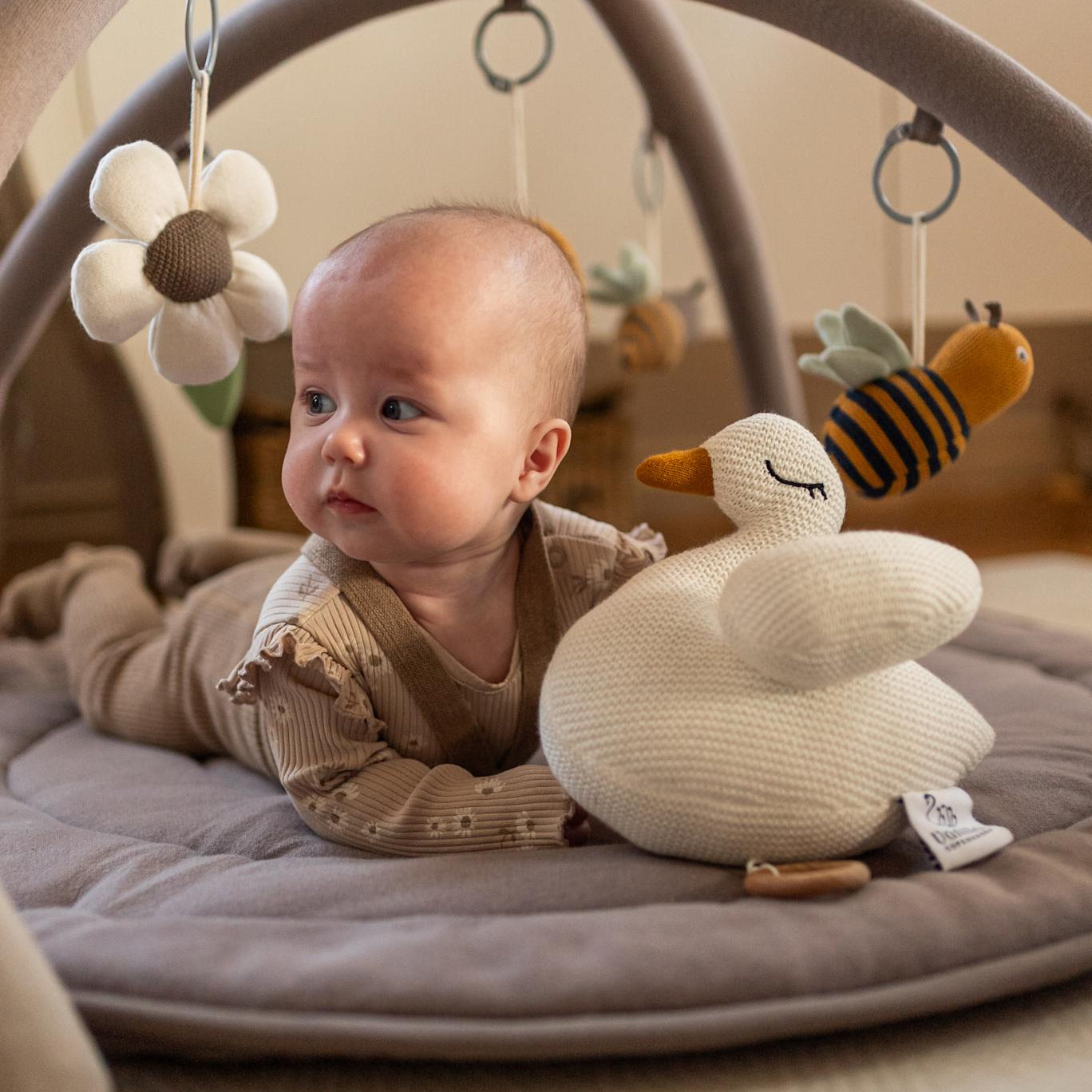 Bamse med musik - Swan